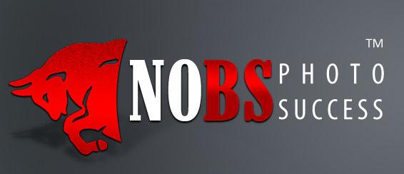 No Bs  Photo Success Inc